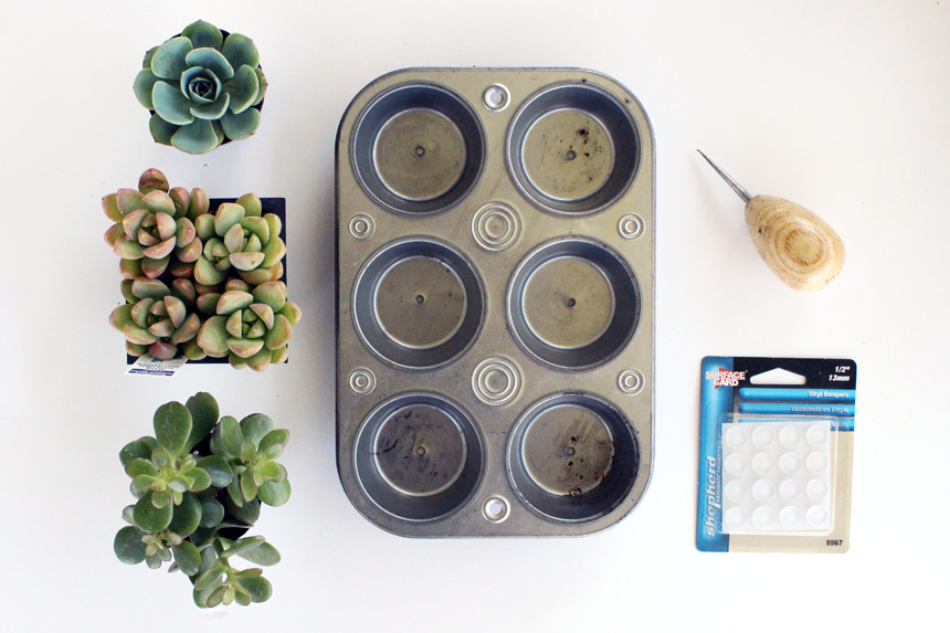 DIY Muffin Tin Planter | Ann-Marie Loves Paper